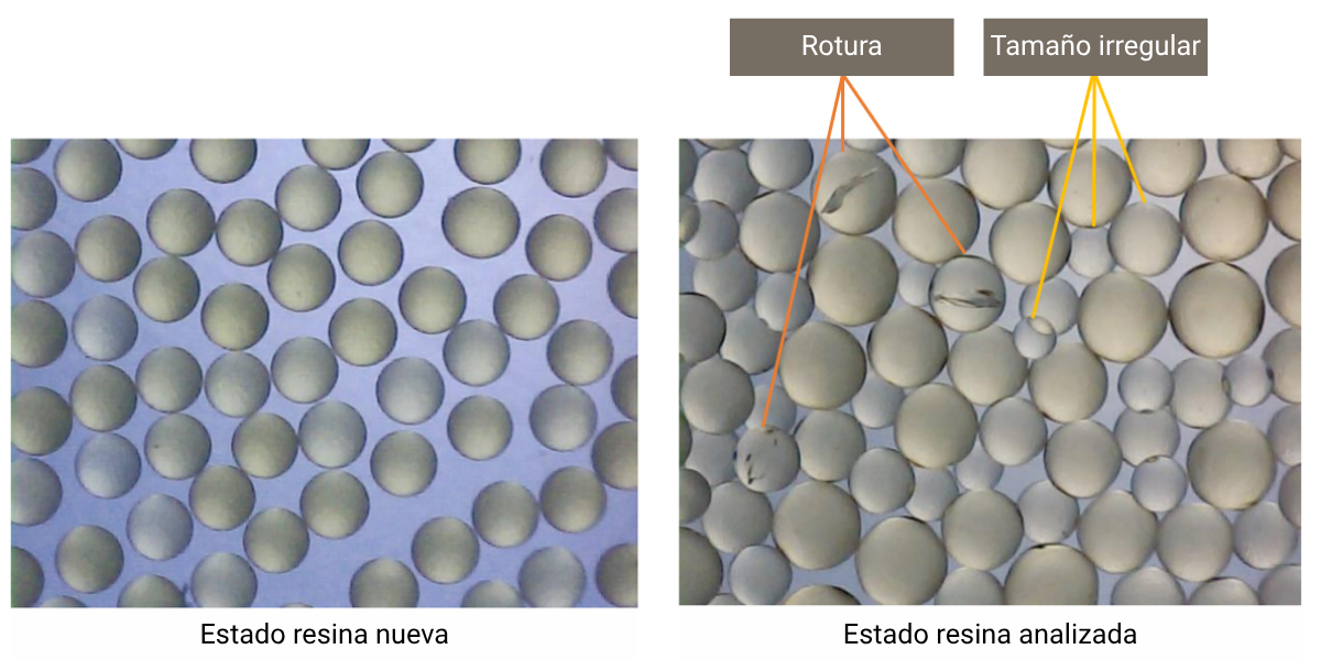 Estado resina